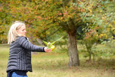 DSC_0505 (Large).JPG